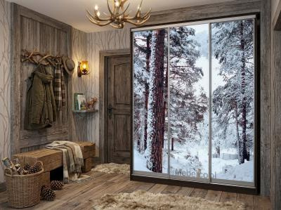 Стильный Шкаф-купе Пейзаж 3002 фотопечать с тремя дверями в спальню, в прихожую, в гостиную, на балкон
